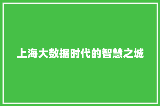 上海大数据时代的智慧之城