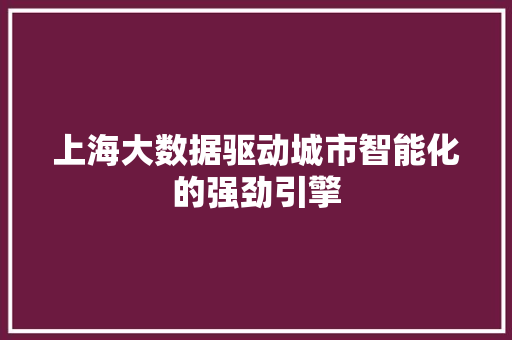 上海大数据驱动城市智能化的强劲引擎