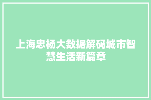 上海忠杨大数据解码城市智慧生活新篇章