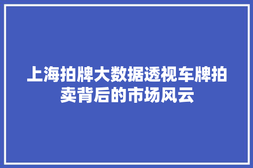 上海拍牌大数据透视车牌拍卖背后的市场风云