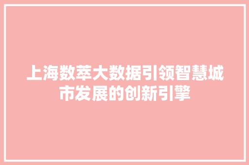 上海数萃大数据引领智慧城市发展的创新引擎