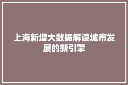 上海新增大数据解读城市发展的新引擎