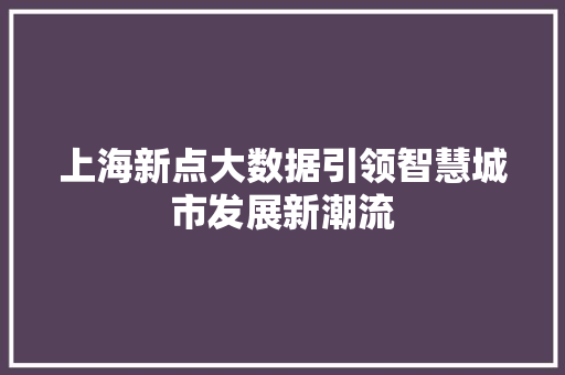 上海新点大数据引领智慧城市发展新潮流