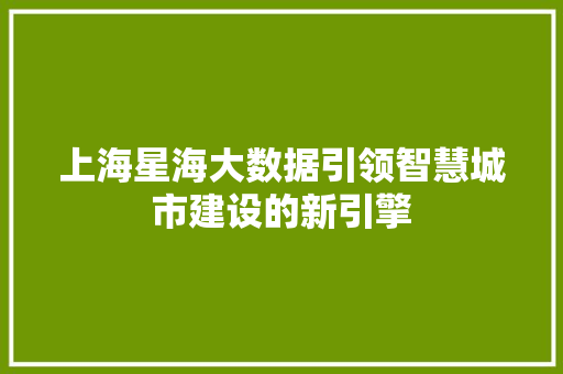 上海星海大数据引领智慧城市建设的新引擎