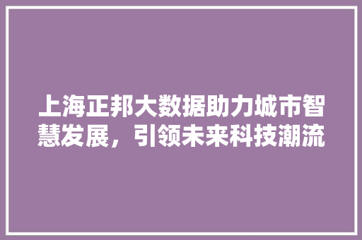 上海正邦大数据助力城市智慧发展，引领未来科技潮流