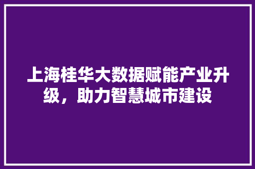 上海桂华大数据赋能产业升级，助力智慧城市建设