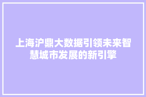 上海沪鼎大数据引领未来智慧城市发展的新引擎