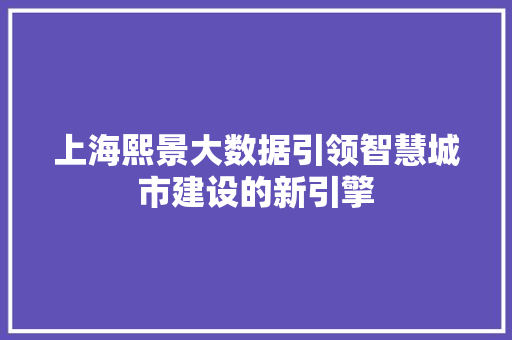 上海熙景大数据引领智慧城市建设的新引擎