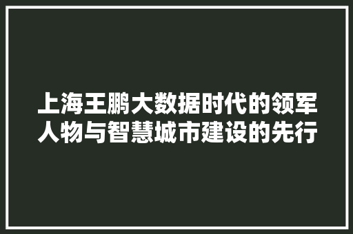 上海王鹏大数据时代的领军人物与智慧城市建设的先行者