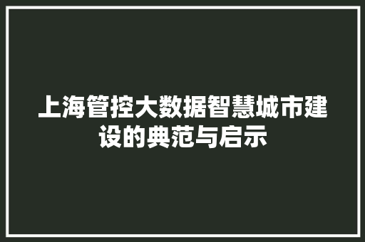 上海管控大数据智慧城市建设的典范与启示