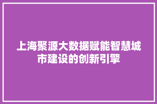 上海聚源大数据赋能智慧城市建设的创新引擎