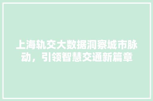 上海轨交大数据洞察城市脉动，引领智慧交通新篇章