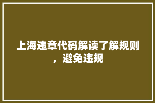 上海违章代码解读了解规则，避免违规