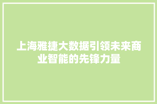 上海雅捷大数据引领未来商业智能的先锋力量