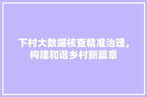下村大数据核查精准治理，构建和谐乡村新篇章