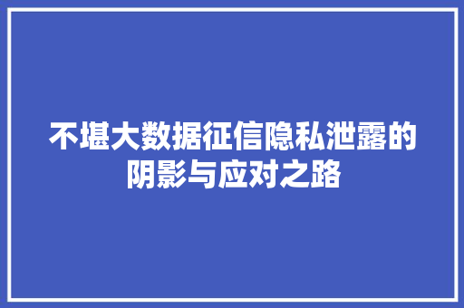 不堪大数据征信隐私泄露的阴影与应对之路