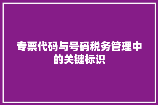 专票代码与号码税务管理中的关键标识