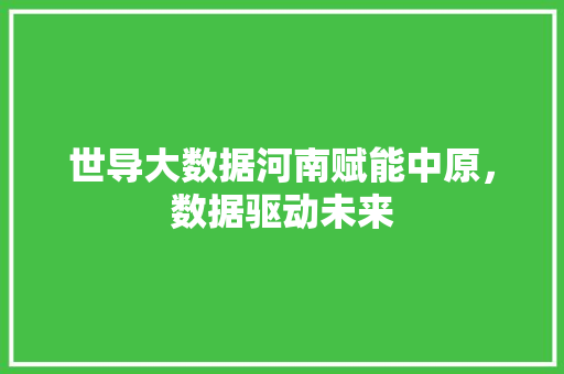 世导大数据河南赋能中原，数据驱动未来