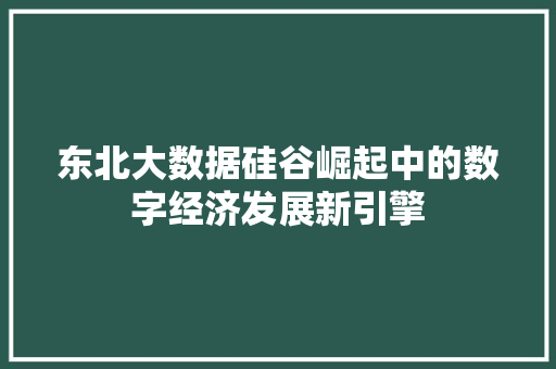 东北大数据硅谷崛起中的数字经济发展新引擎