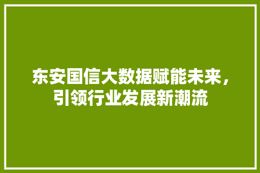 东安国信大数据赋能未来,引领行业发展新潮流 东安国信大数据赋能未来,引领行业发展新潮流