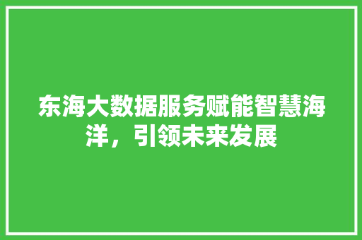 东海大数据服务赋能智慧海洋，引领未来发展