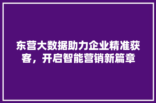 东营大数据助力企业精准获客，开启智能营销新篇章