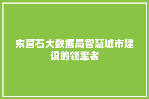 东营石大数据局智慧城市建设的领军者