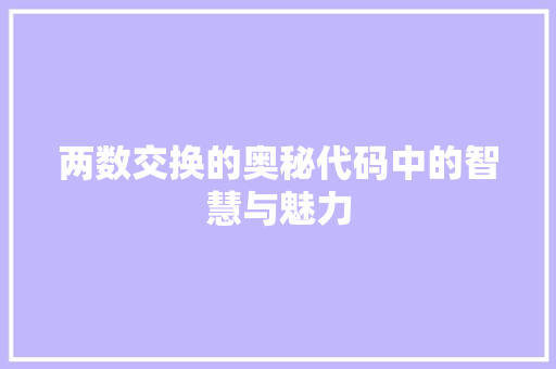 两数交换的奥秘代码中的智慧与魅力