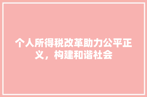 个人所得税改革助力公平正义，构建和谐社会