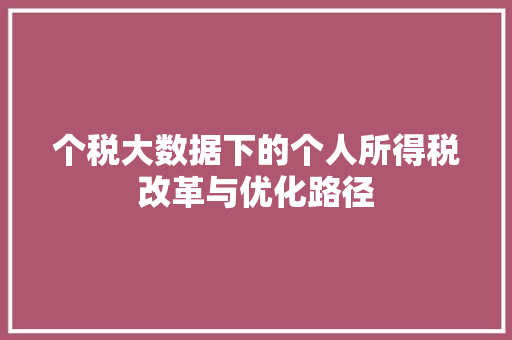 个税大数据下的个人所得税改革与优化路径 网络技术