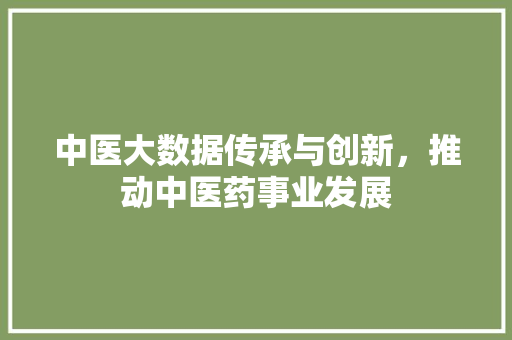 中医大数据传承与创新，推动中医药事业发展 网络技术