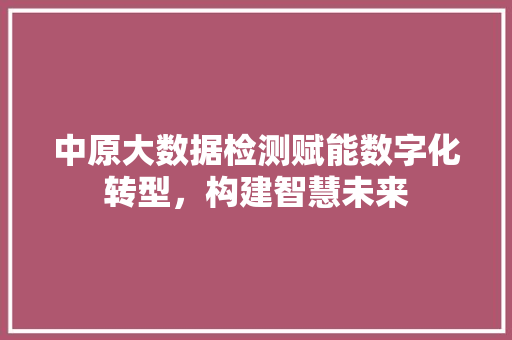 中原大数据检测赋能数字化转型,构建智慧未来 中原大数据检测赋能数字化转型,构建智慧未来