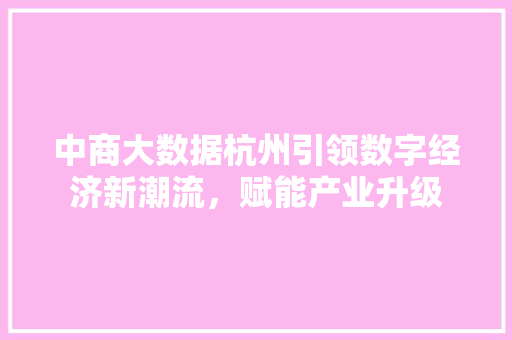 中商大数据杭州引领数字经济新潮流,赋能产业升级 中商大数据杭州引领数字经济新潮流,赋能产业升级