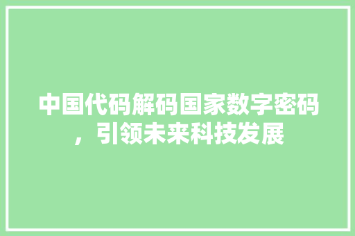 中国代码解码国家数字密码,引领未来科技发展 中国代码解码国家数字密码,引领未来科技发展