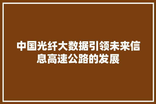 中国光纤大数据引领未来信息高速公路的发展 中国光纤大数据引领未来信息高速公路的发展