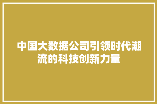 中国大数据公司引领时代潮流的科技创新力量
