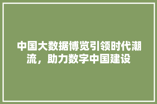 中国大数据博览引领时代潮流,助力数字中国建设 中国大数据博览引领时代潮流,助力数字中国建设