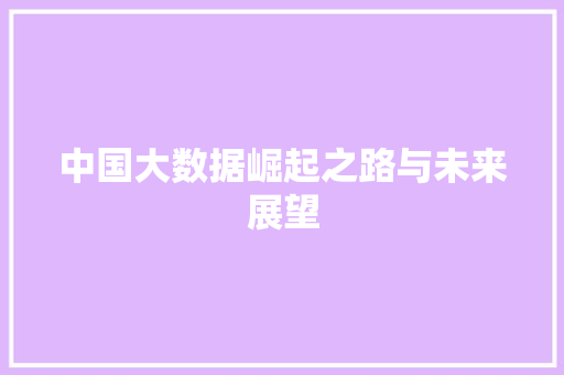 中国大数据崛起之路与未来展望