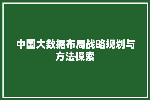 中国大数据布局战略规划与方法探索 中国大数据布局战略规划与方法探索