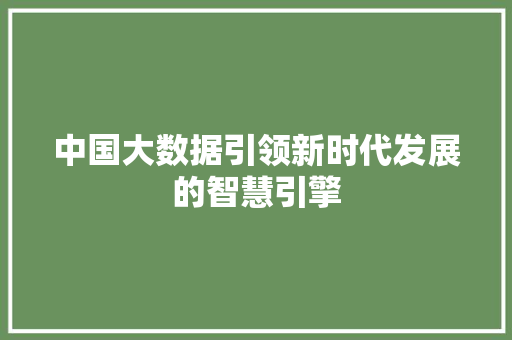 中国大数据引领新时代发展的智慧引擎