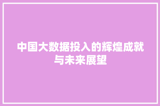 中国大数据投入的辉煌成就与未来展望 中国大数据投入的辉煌成就与未来展望