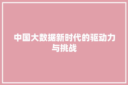 中国大数据新时代的驱动力与挑战