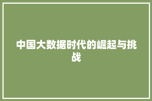 中国大数据时代的崛起与挑战 中国大数据时代的崛起与挑战