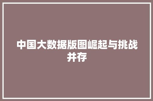 中国大数据版图崛起与挑战并存