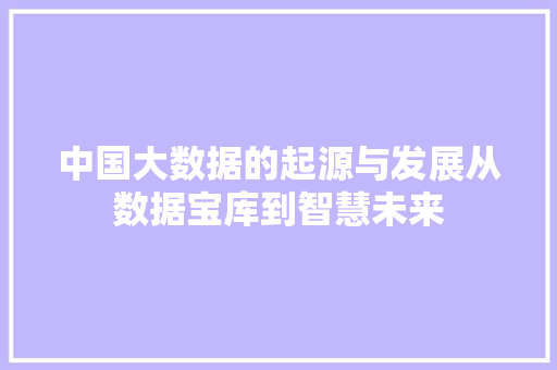 中国大数据的起源与发展从数据宝库到智慧未来
