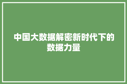 中国大数据解密新时代下的数据力量