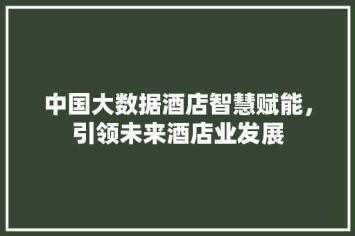 中国大数据酒店智慧赋能，引领未来酒店业发展