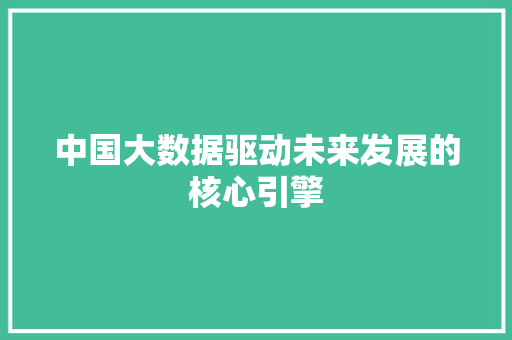 中国大数据驱动未来发展的核心引擎