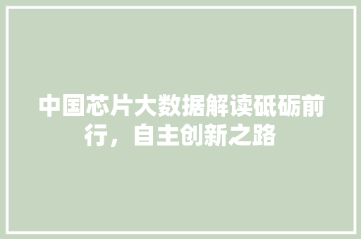 中国芯片大数据解读砥砺前行，自主创新之路