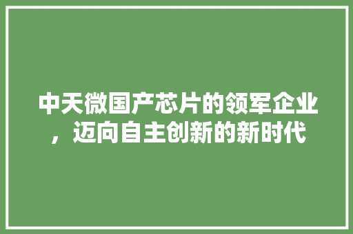 中天微国产芯片的领军企业，迈向自主创新的新时代
